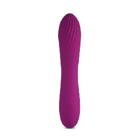 10 Speeds Rechargeable Silicone Purple Color Classic Vibrator